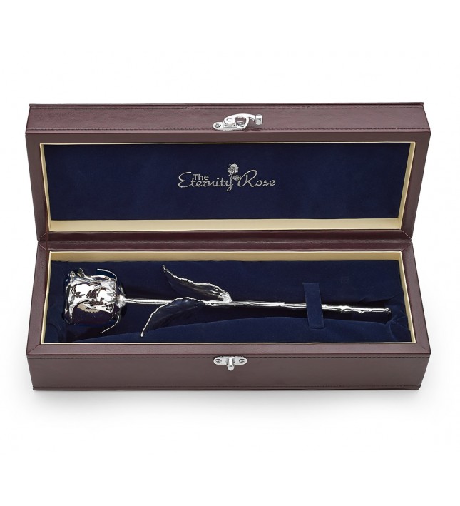  Rose trempée d'argent. Boîte en cuir