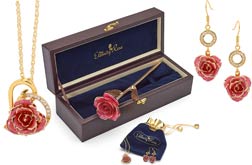 Rose & Jewellery Set